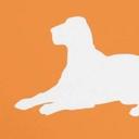 Buster’s Box’s Moving Inc.