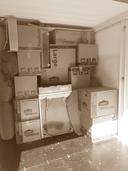 All Around Movers