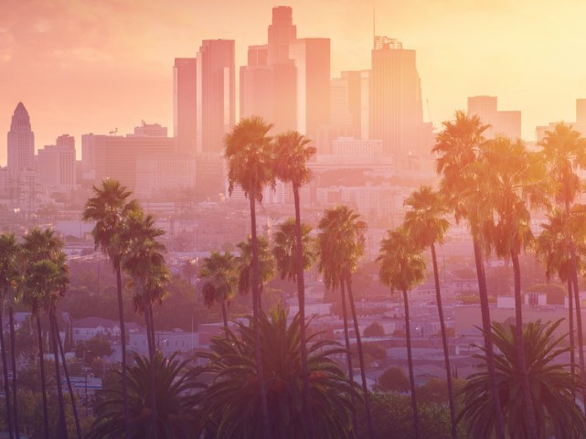 Los Angeles hot sunset view with palm tree and downtown in background.